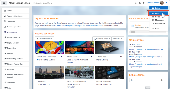 Perfil do professor no Moodle
