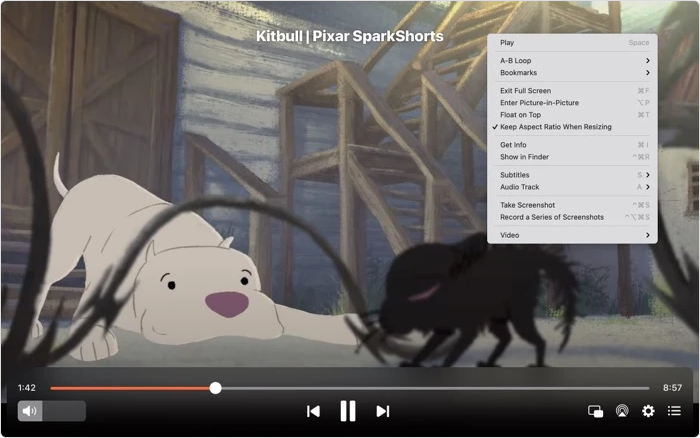 Elmedia Player Alternativas a Adobe Flash Player: Elmedia Player