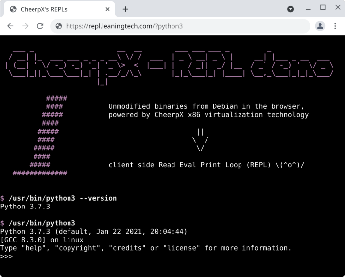 CheerpX Alternativas a Adobe Flash Player: CheerpX